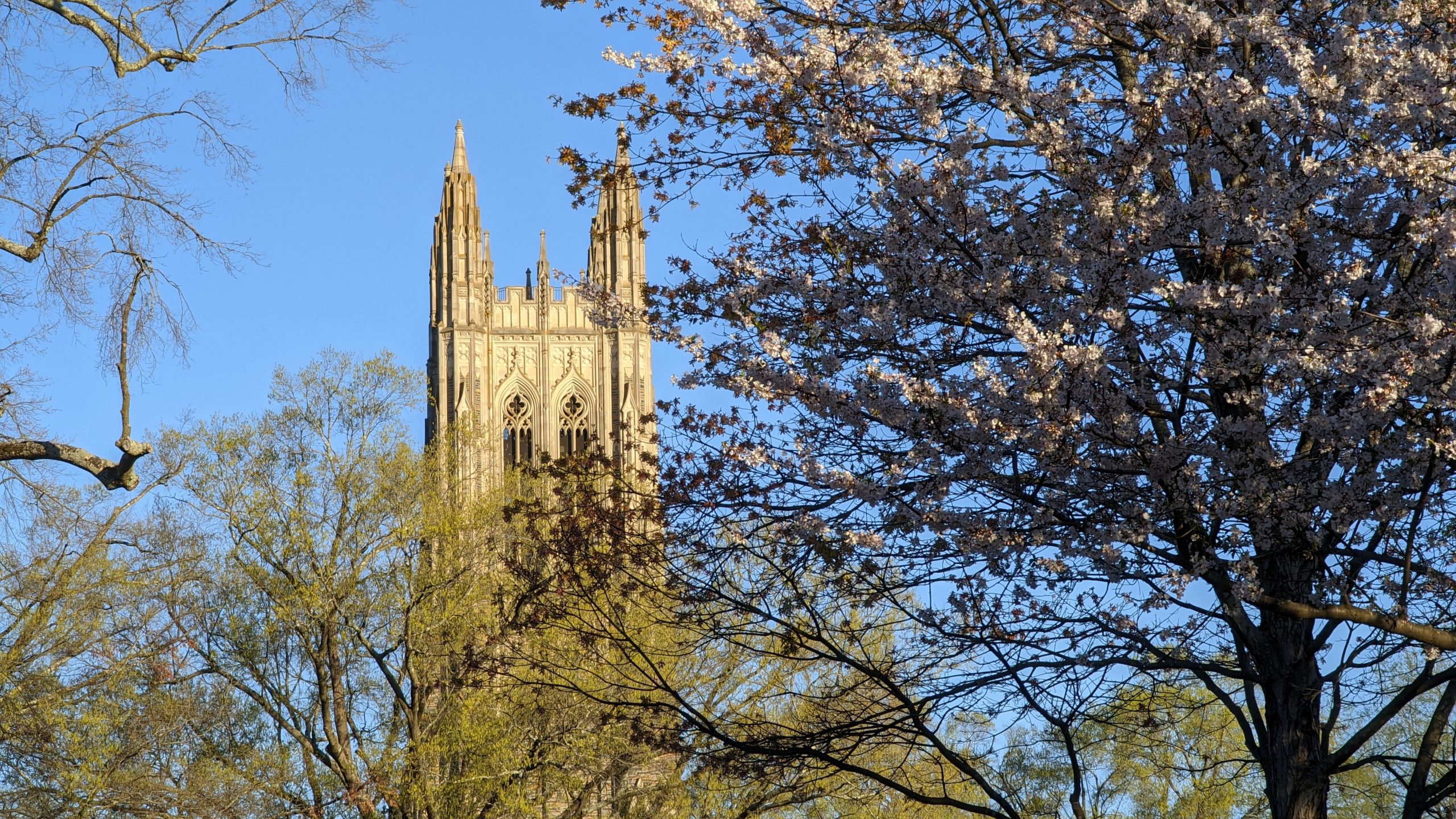 Universities in Durham