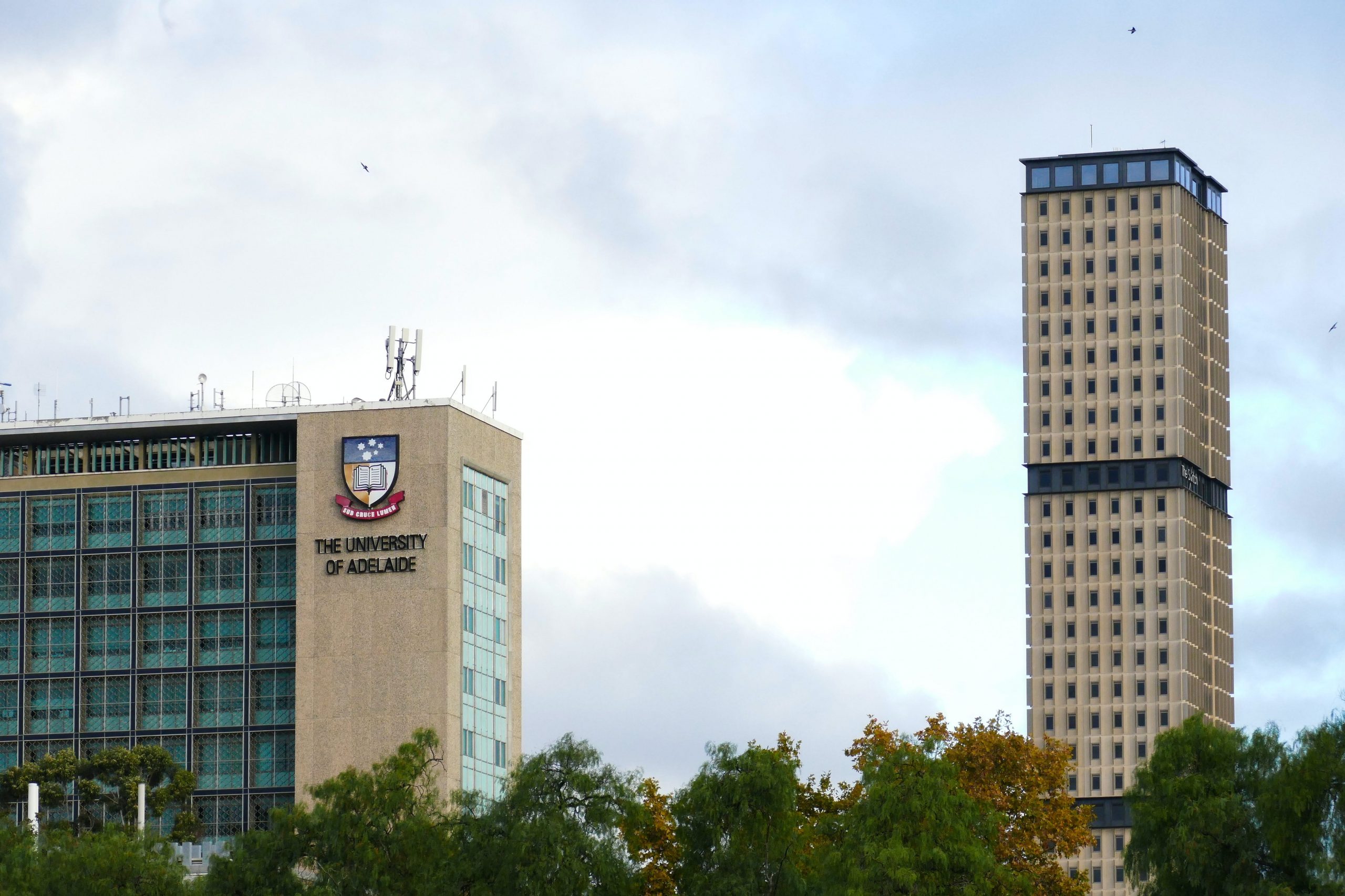 universities in Adelaide