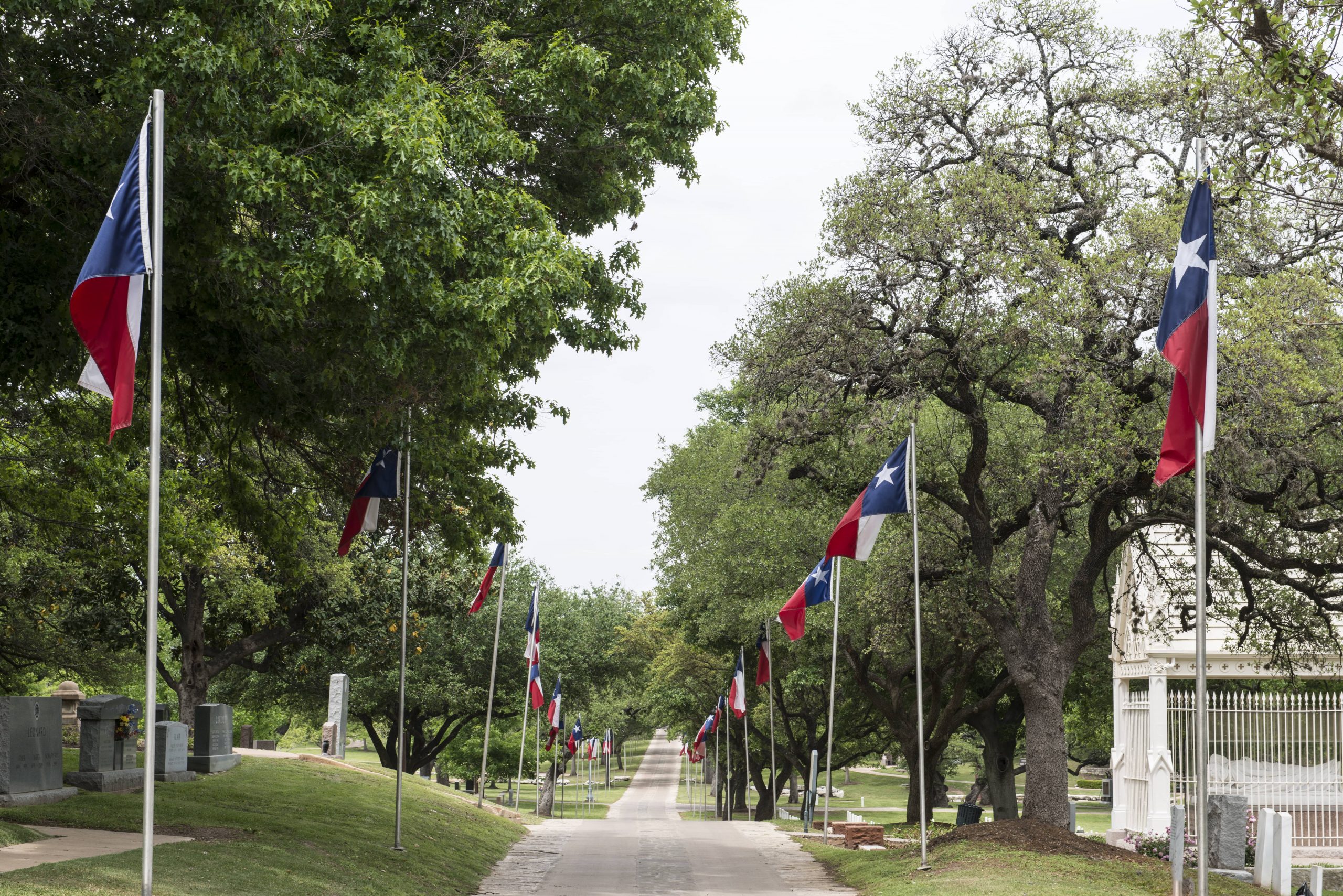 Texas State University admission