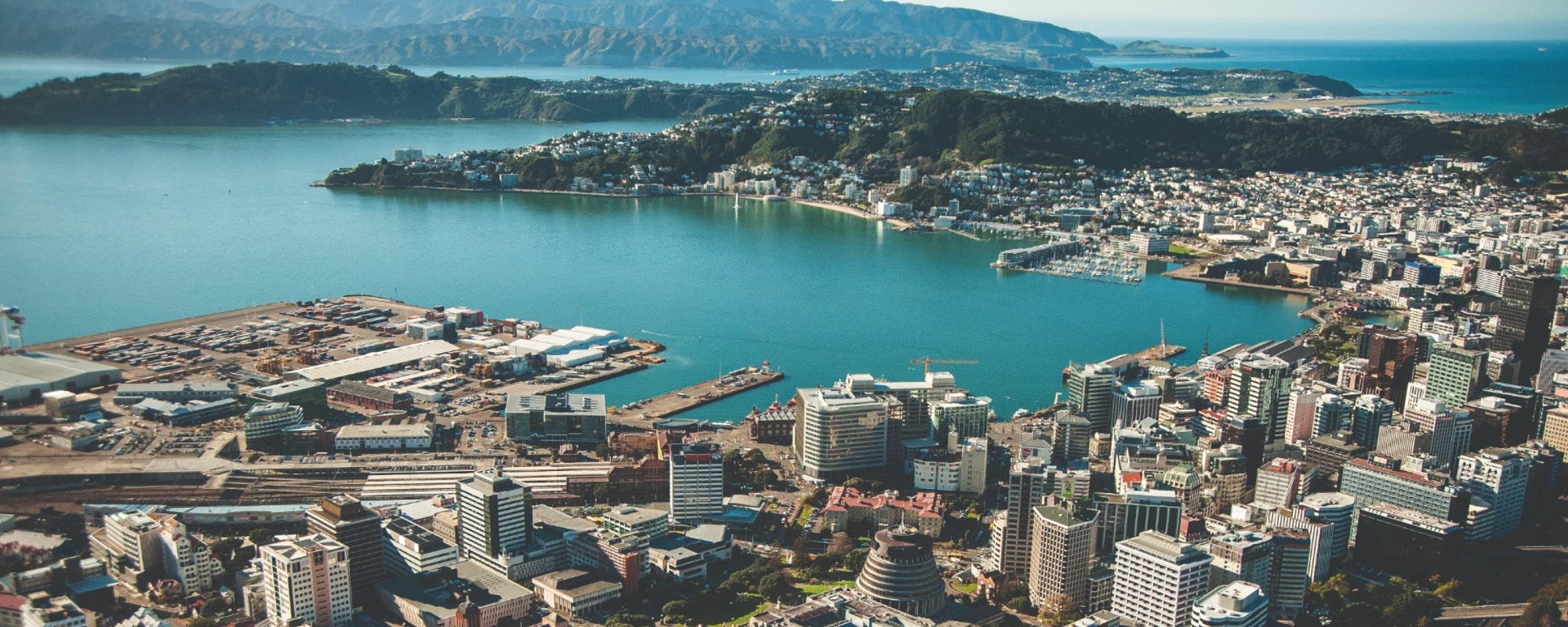 Universities In Wellington