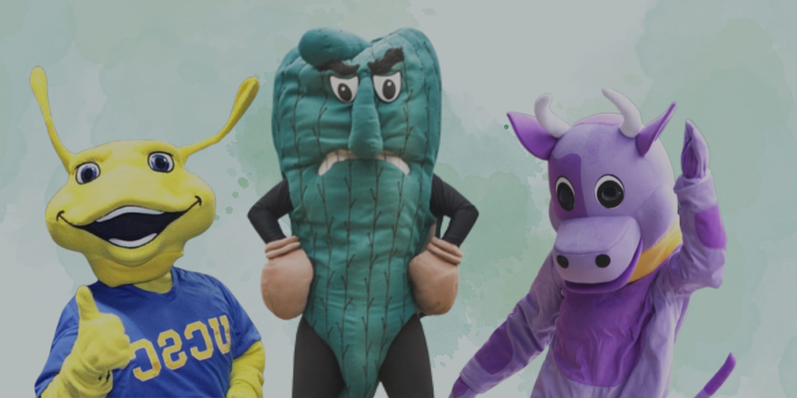 weirdest US college mascots