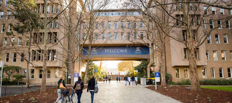 The University of Melbourne's campus: a vibrant hub of learning, with stunning architecture and lush greenery.