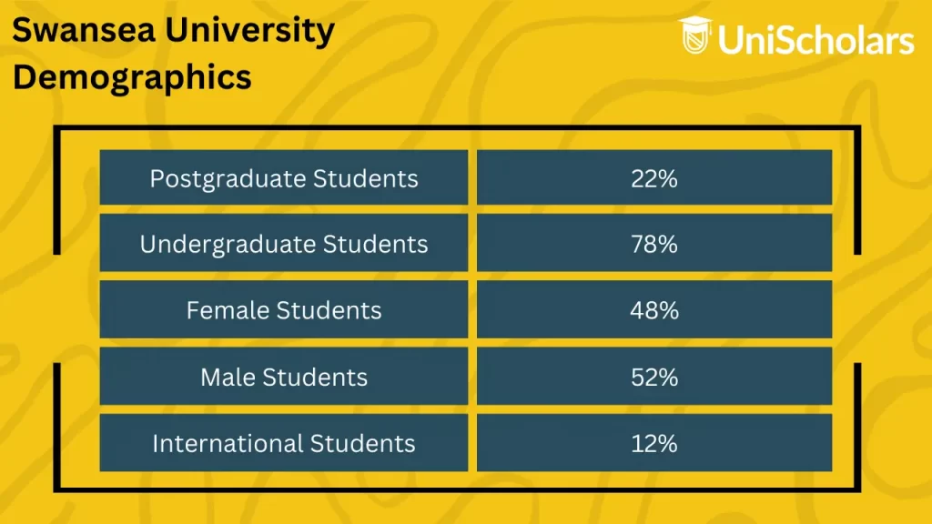 The image clearly depicts Swansea University student population demographics. 